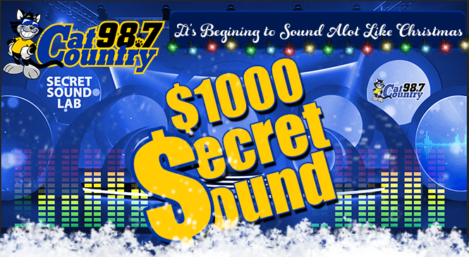 Christmas Secret Sound 665 w snow